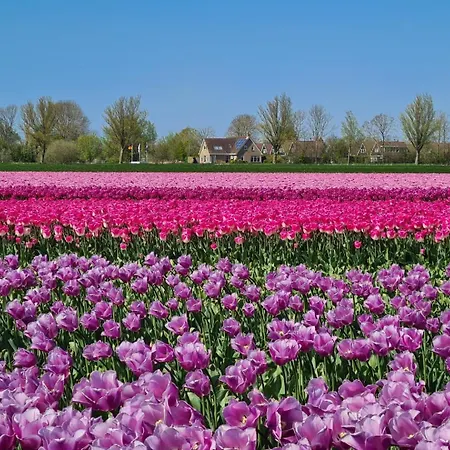 Holiday home 60 Op Recreatiepark De Wielen *